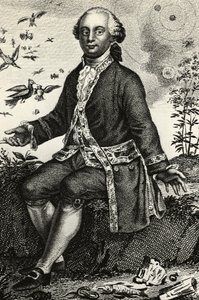 जॉर्जेस-लुई लेक्लेर डी बफन (1707-1788) का पोर्ट्रेट, फ्रांसीसी प्रकृतिवादी और गणितज्ञ, उत्कीर्णन द्वारा जेबी और ब्राउन जे। और रोबोथम