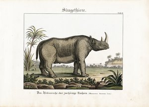  द्वारा 