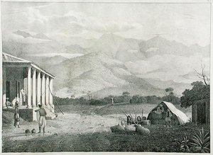 1830 में प्रकाशित कैप्टन मैककुरडी द्वारा नीलगिरि, या कोइम्बेटूर के ब्लू पर्वत, दक्षिण भारत के सेरेमियोजी या स्ट्रेमोयोगी, दर्रा, नीलगिरी पर्वत, प्लेट 1 द्वारा मैकक्रेडी के बाद कप्तान ईए