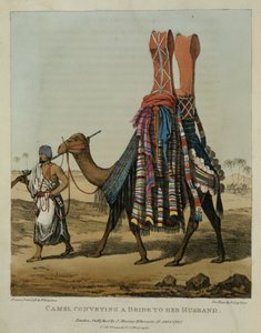 ऊंट अपने पति के लिए एक दुल्हन को पार कर रहा है, जो डेनिस डाइटन (1792-1827) द्वारा उत्कीर्ण प्लेट &39;उत्तरी अफ्रीका में यात्रा की एक कथा&39; से लिया गया है। 1821