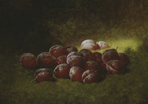 बैंगनी प्लम, 1895