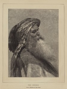 शेख
