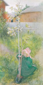 Appleblossom, 1894 द्वारा Carl Larsson