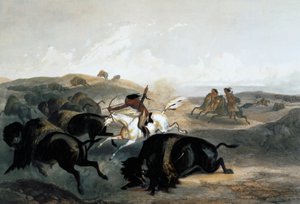 इंडियन्स हंटिंग द बाइसन, 1843 द्वारा कार्ल वोगेल