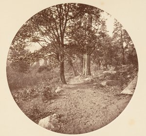 योसेमाइट घाटी में, सीए। 1878. द्वारा कार्लटन एम्मन्स वॉटकिंस