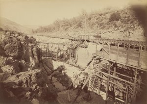  द्वारा कार्लटन एम्मन्स वॉटकिंस