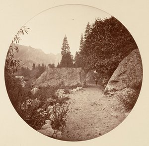 [योसेमाइट नेशनल पार्क, कैलिफ़ोर्निया], सीए। 1878. द्वारा कार्लटन एम्मन्स वॉटकिंस