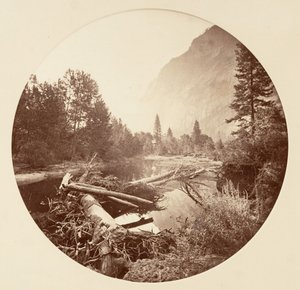 [योसेमाइट नेशनल पार्क, कैलिफ़ोर्निया], सीए। 1878. द्वारा कार्लटन एम्मन्स वॉटकिंस