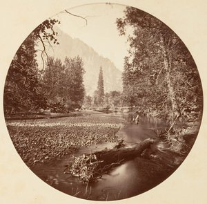 [योसेमाइट नेशनल पार्क, कैलिफ़ोर्निया], सीए। 1878.