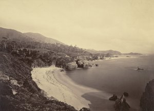  द्वारा कार्लटन वॉटकिंस