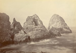  द्वारा कार्लटन वॉटकिंस