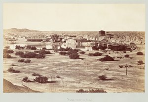  द्वारा कार्लटन वॉटकिंस