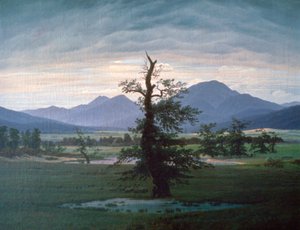 सॉलिटरी ट्री, 1823 द्वारा Caspar David Friedrich