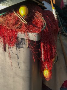  द्वारा सेसिल जेमेट