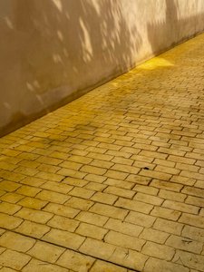  द्वारा सेसिल जेमेट