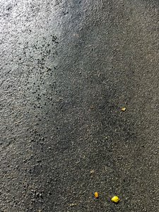  द्वारा सेसिल जेमेट