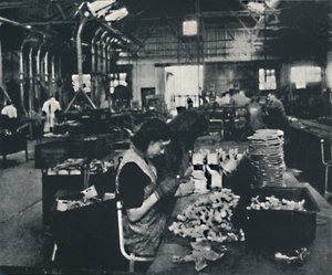 जाँच, 1941 द्वारा सेसिल बीटन
