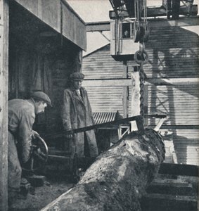 सेविंग लकड़ी, 1941 द्वारा सेसिल बीटन