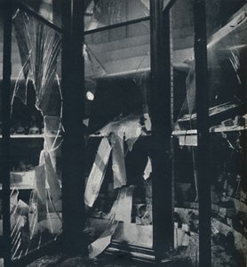नेचुरल हिस्ट्री म्यूजियम, 1941 में मामले दिखाएं द्वारा सेसिल बीटन