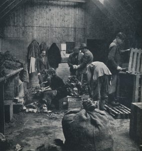 बाजार के लिए सब्जियां, 1941 द्वारा सेसिल बीटन