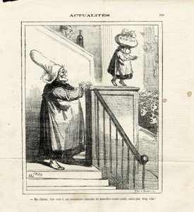 ले चरिवारी में चाम का चित्रण (1819-1879) द्वारा Amedee de Noe (चाम)