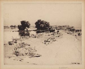 केप एन विलो द्वारा चार्ल्स ए. प्लैटा
