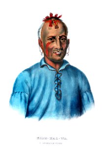 किश्कलवा, एक शॉनी चीफ द्वारा चार्ल्स बर्ड किंग