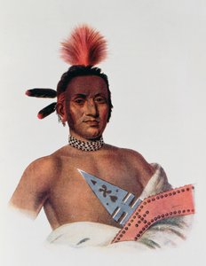 Moa-Na-Hon-Ga या &39;Great Walker&39;, आयोवा चीफ, 1824, थॉमस L. मैककेनी और जेम्स हॉल, पब द्वारा &39;द इंडियन ट्राइब्स ऑफ़ नॉर्थ अमेरिका, Vol.1&39; का चित्रण। जॉन ग्रांट द्वारा