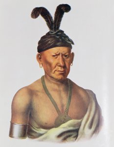 वाकेई या &39;क्राउचिंग ईगल&39;, एक सौ प्रमुख, थॉमस एल मैककेनी और जेम्स हॉल, पब द्वारा &39;द इंडियन ट्राइब्स ऑफ नॉर्थ अमेरिका, वॉल्यूम .2&39; का चित्रण। जॉन ग्रांट द्वारा