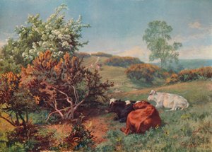 लैंडस्केप इन कैटल विद द नॉवर, डॉर्किंग, सी 1899