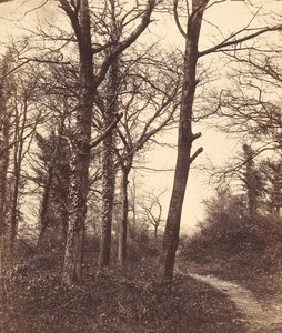 विंटर, 1855। द्वारा चार्ल्स कॉनवे