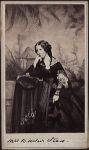 हेरिएट बीचर स्टोव का पोर्ट्रेट 1811-1896, सीए 1860।