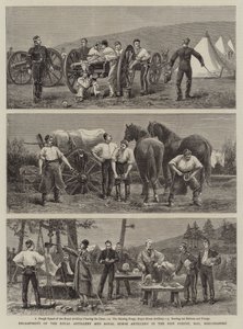 न्यू फ़ॉरेस्ट, हे, ब्रीकशायर में रॉयल आर्टिलरी और रॉयल हॉर्स आर्टिलरी की प्रदर्शनी
