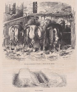 मैगासिन पित्तोरेस्क, सीए से स्थिर, गोबर के गड्ढे में पेचेरॉन घोड़े। 1852., सीए। 1852. द्वारा चार्ल्स एमिले जेक