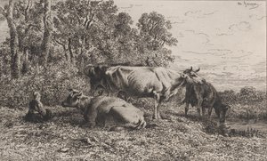 डच गाय, 1864। द्वारा चार्ल्स एमिले जेक