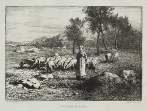 झुंड के झुंड, 1868। द्वारा चार्ल्स एमिले जेक