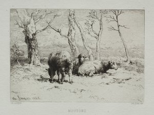 भेड़, 1868। द्वारा चार्ल्स एमिले जेक