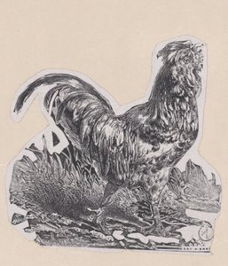 मुर्गा, सीए। 1853. द्वारा चार्ल्स एमिले जेक