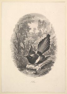 मैगपाई, 1843। द्वारा चार्ल्स फ्रेंकोइस डबगें