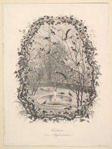 स्पैरो एवियरी, 1843। द्वारा चार्ल्स फ्रेंकोइस डबगें