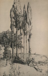 साइरस ट्रीज़ नियर सिएना, 1903