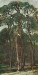 पेड़ों का अध्ययन, c1900 1903-1904