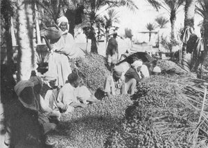 गब्ज़ पर तारीख चुनने, c1913
