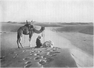 रेगिस्तान में सूर्यास्त प्रार्थना, c1913