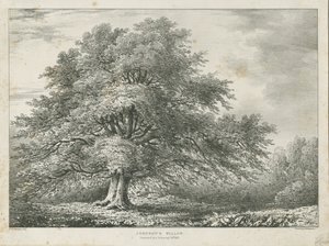 लिचफील्ड - ["डॉ। जॉनसन" "विलो ट्री: लिथोग्राफ, एनडी [1789-1850]