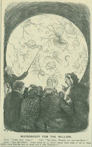 लाखों लोगों के लिए माइक्रोस्कोपी': 1878 (उत्कीर्णन)