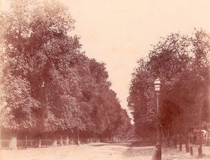 ट्री-लाइनेड ड्राइववे, 1850-53। द्वारा चार्ल्स मारविल