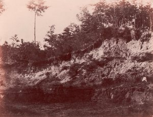 खदान, 1850-53। द्वारा चार्ल्स मारविल