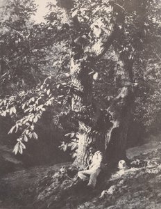 शाहबलूत के पेड़ के नीचे लेटा हुआ आदमी, 1850-53। द्वारा चार्ल्स मारविल