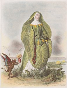 वॉटर लिली, लेस फ्लेयर्स एनिमीज़ से, 1847।